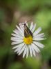 282715 – Photo : BourrinOman – France (38)